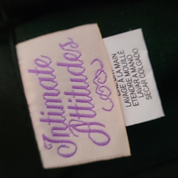 INTIMATE ATTITUDES VINTAGE EMERALD GREEN CORSET - Picture 6 of 8